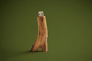 Wooden Usb Stick Kombination Von Natur Und Technik